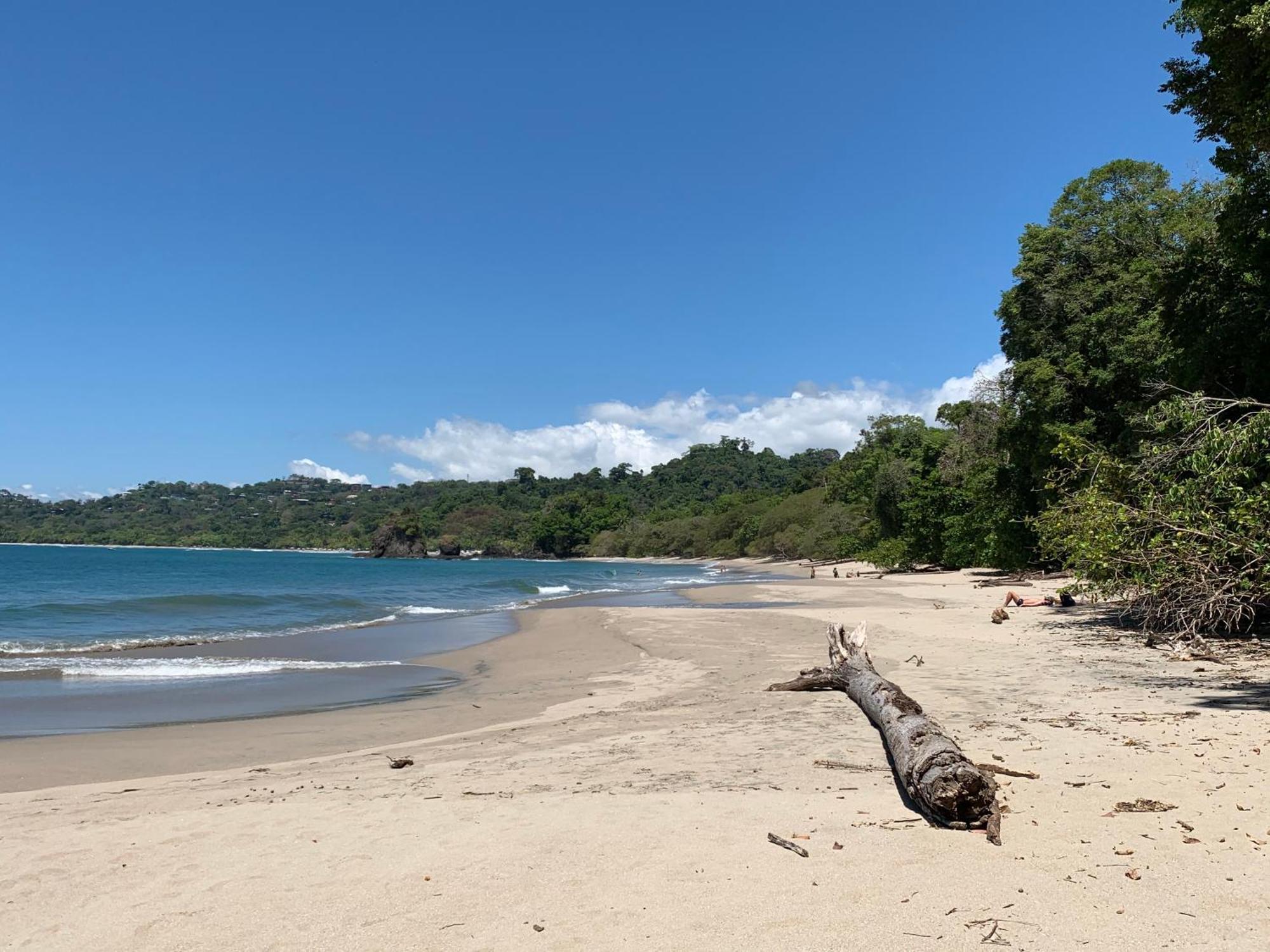 Hotel Playa Espadilla & Gardens Manuel Antonio Εξωτερικό φωτογραφία