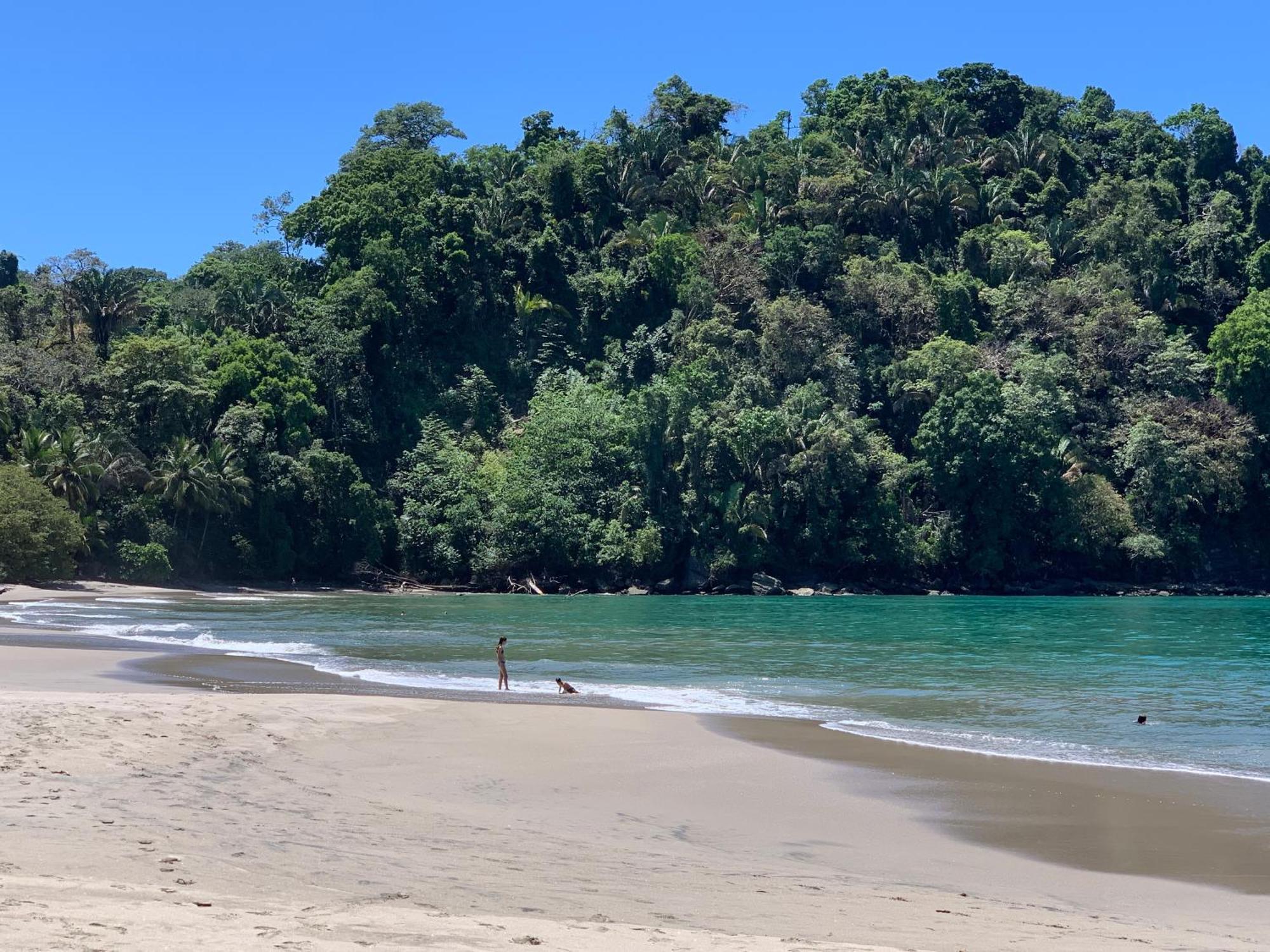 Hotel Playa Espadilla & Gardens Manuel Antonio Εξωτερικό φωτογραφία